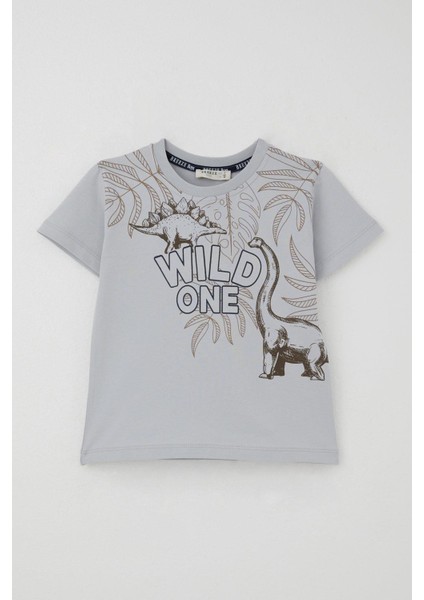 Erkek Çocuk Şortlu Takım Güçlü Dinozorlar Baskılı 3-8 Yaş, Gri fiyatları