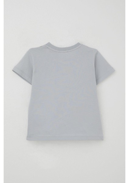 Erkek Çocuk Şortlu Takım Güçlü Dinozorlar Baskılı 3-8 Yaş, Gri fırsatları