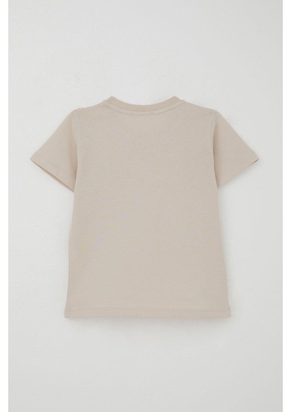 Erkek Çocuk Şortlu Takım Güçlü Dinozorlar Baskılı 3-8 Yaş, Bej fırsatları