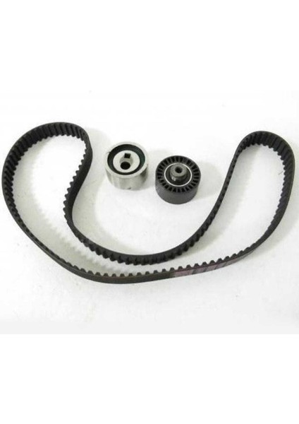 Psa 0831.R7 0 Triger Eksantrik Gergi Seti Partner Expert / Xsar