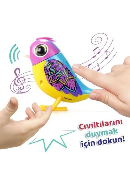 Digibirds Tekli Paket Seri-2 Asorti