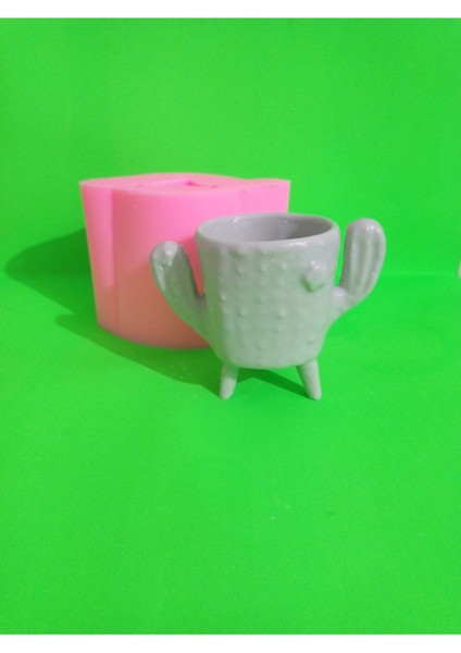 Kaktüs Saksı Silikon Kalıp