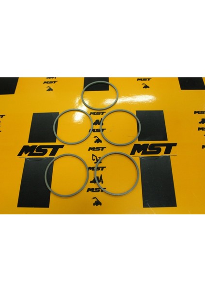 Mst / Carraro 142858 Keçe - Ring / Seal Ring