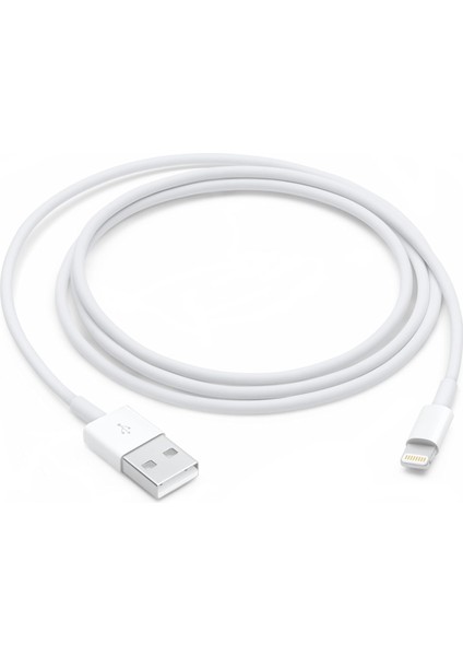 Lightning - USB Kablosu (1 M)
