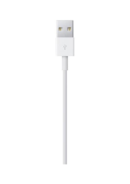 Lightning - USB Kablosu (1 M) fiyatları