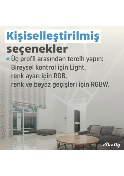 Plus Rgbw Pm Akıllı LED Renk ve Parlaklık Kontrol Rölesi