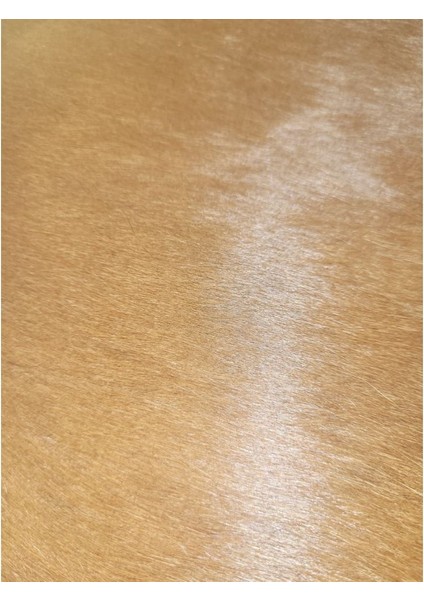 %100 Doğal Dana Derisi Kaymaz Taban Premium Patchwork Halı - Siyah Gold indirimleri