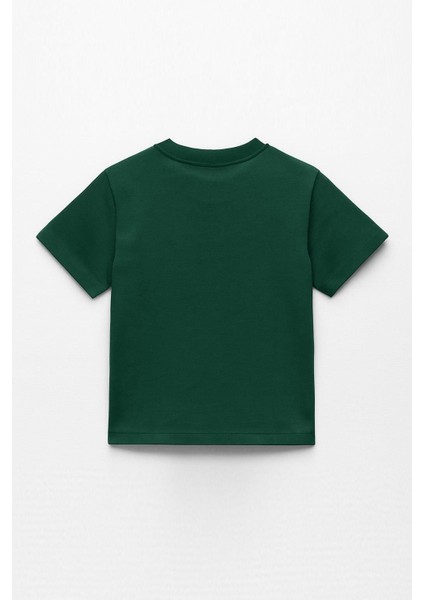 Erkek Çocuk %100 Pamuklu Baskılı Kısa Kollu Tişört - Yeşil (3-4 Yaş 8-9 Yaş) fiyatları