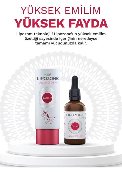 Asfstore Lipozone Kids Lipozomal Demir Drop 15 ml 2 Adet