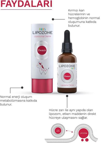 Asfstore Lipozone Kids Lipozomal Demir Drop 15 ml 2 Adet