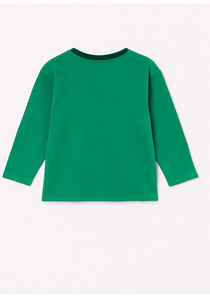 Erkek Çocuk %100 Pamuk Baskılı Uzun Kollu Tişört - Yeşil (3-4 Yaş 8-9 Yaş) modelleri