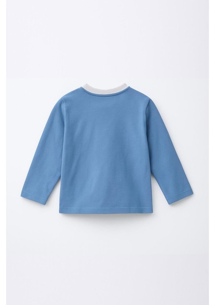 Erkek Çocuk %100 Pamuk Baskılı Uzun Kollu Tişört - Mavi (3-4 Yaş 8-9 Yaş) modelleri