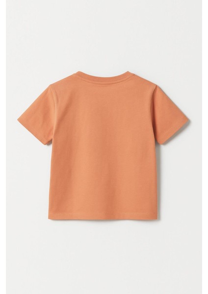 Erkek Çocuk %100 Pamuklu Baskılı Kısa Kollu Tişört - Somon (3-4 Yaş 8-9 Yaş) modelleri