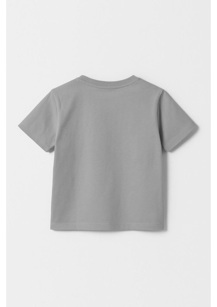 Erkek Çocuk %100 Pamuklu Baskılı Kısa Kollu Tişört - Gri (3-4 Yaş 8-9 Yaş) modelleri