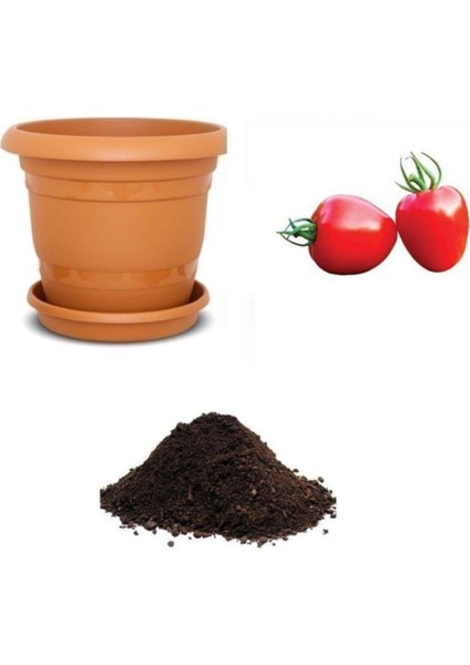 Nadir Tomatoberry Domates Tohumu 10 Adet Ekim Seti