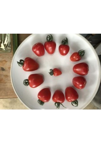 Nadir Tomatoberry Domates Tohumu 10 Adet Ekim Seti modelleri