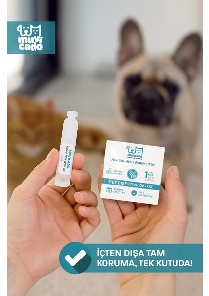 Kedi Köpek Herbal Worm Stop Bitkisel Tablet 250 Mg+ Anti Spot On Bitkisel Damla 1 ml Bit Pire Kene Köpek Iç Dış Parazit Kedi Iç Dış Parazit Köpek Ödül Ödülü Tableti Kedi Ödül Tableti