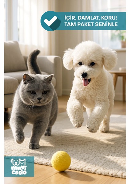Kedi Köpek Herbal Worm Stop Bitkisel Tablet 250 Mg+ Anti Spot On Bitkisel Damla 1 ml Bit Pire Kene Köpek Iç Dış Parazit Kedi Iç Dış Parazit Köpek Ödül Ödülü Tableti Kedi Ödül Tableti