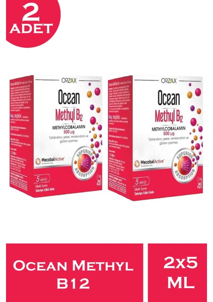 Ocean Methyl B12 Sprey 500 Mcg 5 ml 2 Adet