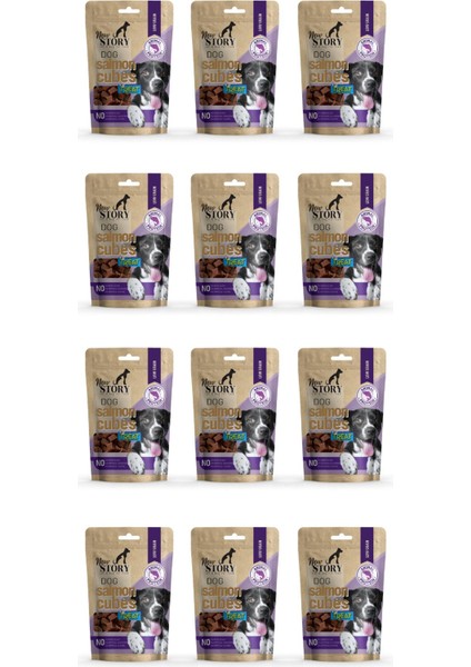 Dog Salmon Cubes 12X80GR. Somonlu, Köpek Ödül Maması