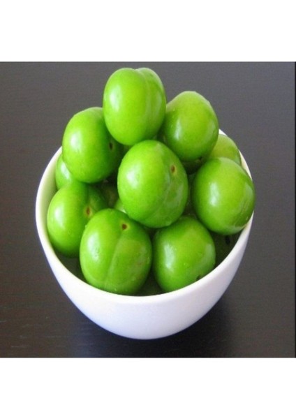 Avantajlı Tüplü Yüksek Verimli Yarı Bodur Ağustos Papazı Fidanı