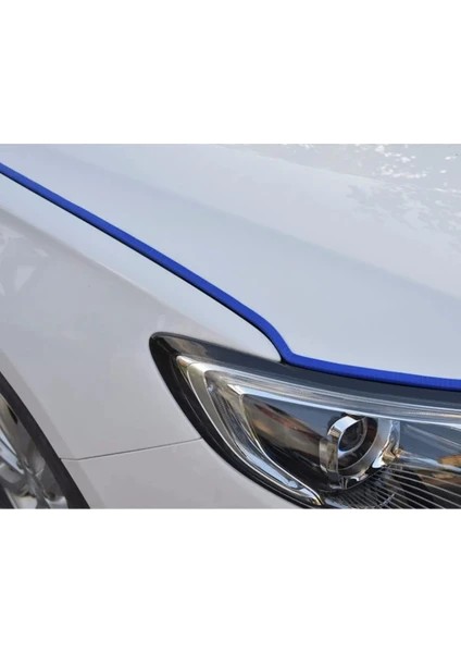 Citroen Ax Oto Araç Kapı Koruma Fitili 5metre Mavi Renk Çarpma Çizilme Önleyici Fitil fiyatları