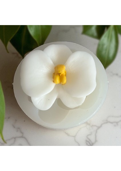 Orkide Silikon Kalıp, Küçük Boy