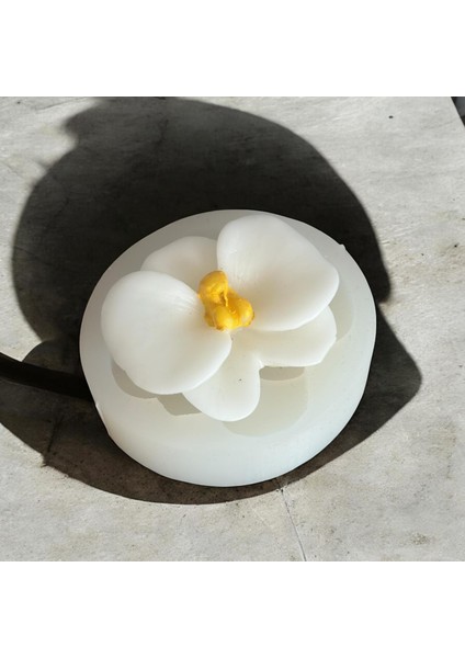 Orkide Silikon Kalıp, Küçük Boy modelleri