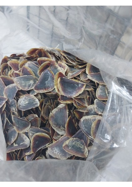 Cin (Şeytan) Tırnağı fiyatları