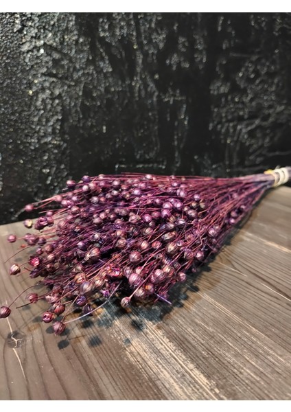 Kuru Çiçek Şoklanmış 1 Demet Keten Otu (Luna Otu) Minimalist Dekoratif Arajman Vazo Çiçeği modelleri