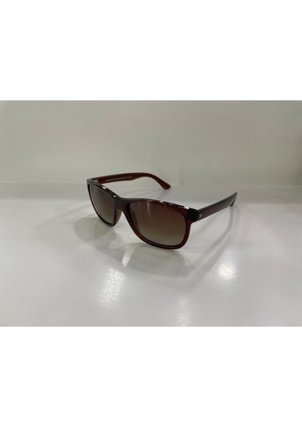 TG1316 C8484 Erkek Güneş Gözlüğü modelleri