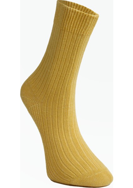 3'lü Çok Renkli Organik Pamuk Soket Çorap– Unisex, Yumuşak ve Nefes Alabilir, Sıkmayan, Ter Emici, Hassas Ciltler Için Gün Boyu Konfor