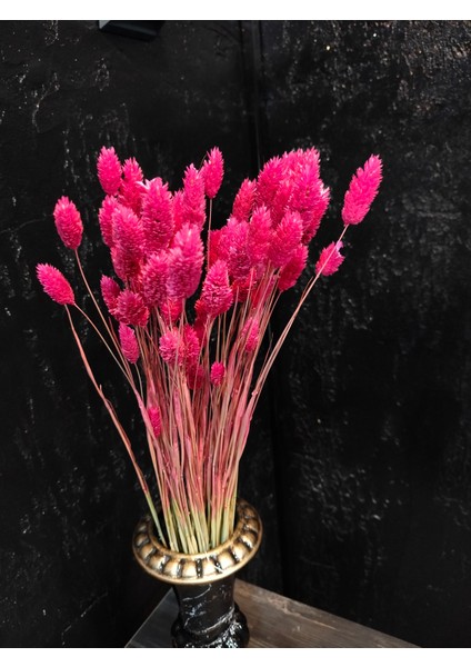 Kuru Çiçek Şoklanmış Kuş Otu (Palaris Çiçeği)Vazo Arajman Nişan Kına Düğün Organizasyon Çiçeği