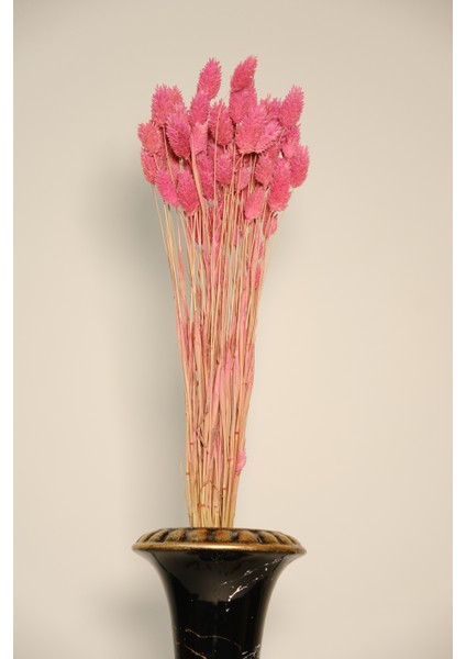 Kuru Çiçek Şoklanmış Kuş Otu (Palaris Çiçeği)Vazo Arajman Nişan Kına Düğün Organizasyon Çiçeği fırsatları