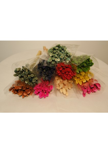 Kuru Çiçek Şoklanmış Kuş Otu (Palaris Çiçeği)Vazo Arajman Nişan Kına Düğün Organizasyon Çiçeği indirimleri