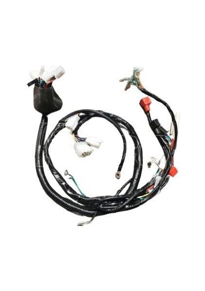 Master 50 Elektrik Tesisatı