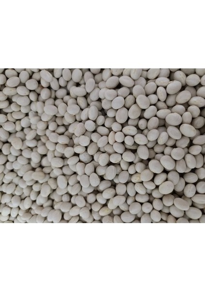 Ispir Fasülye ( Şeker) 5 kg