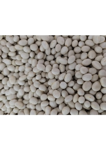 Ispir Fasülye ( Şeker) 5 kg