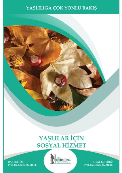 Yaşlılar Için Sosyal Hizmetler Yaşlı Bakımı Ders Kitapları