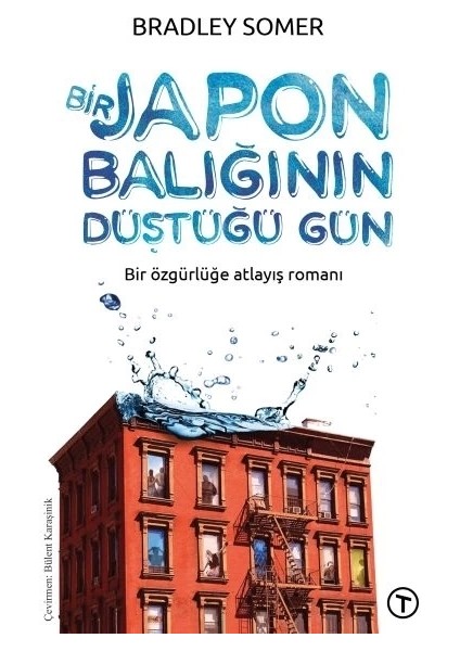Bir Japon Balığının Düştüğü Gün