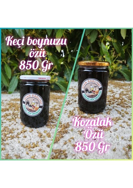 Keçi Boynuzu Özü 800 gr Kozalak Özü 650 gr 1450 gr
