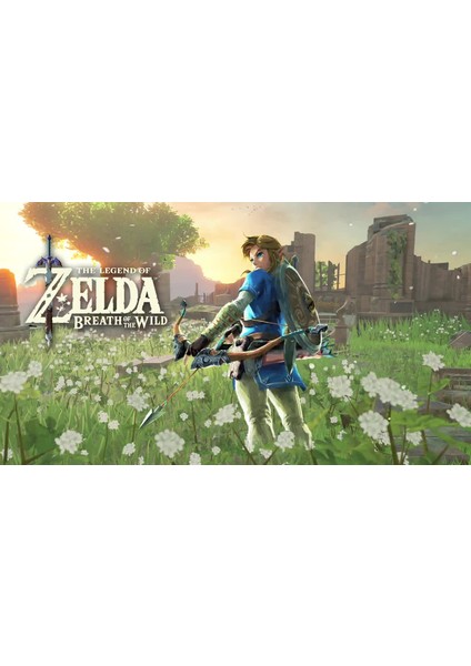 The Legend Of Zelda Breath Of The Wild Switch 2