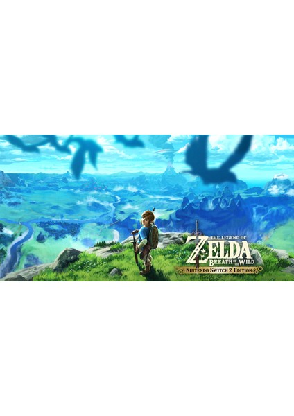 The Legend Of Zelda Breath Of The Wild Switch 2