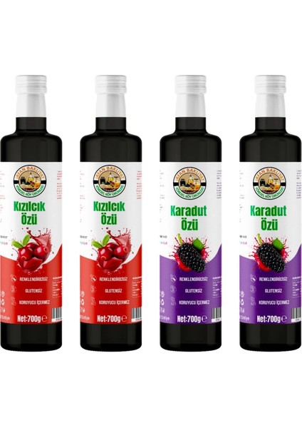 Kızılcık Özü 1400 gr Karadut Özü 1400 gr
