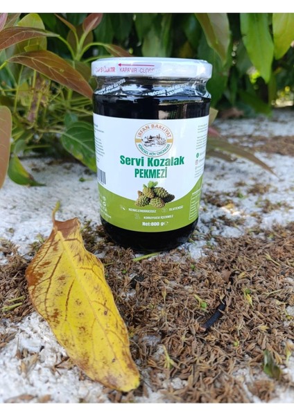 Kozalak Pekmezi 800 gr