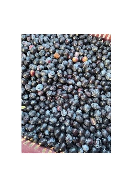 Sihayzeytin(Attün) fiyatları
