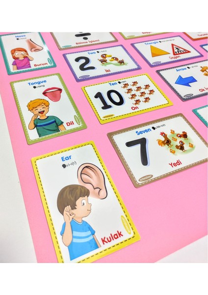 Elite Türkçe Ingilizce Telaffuz - Visual Activity Cards Eğitim Kartları- 128 Kelime (1-10 Yaş) 1 Adet