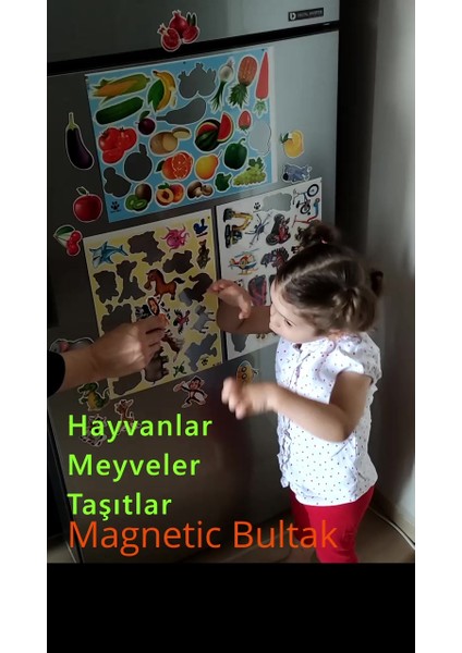 Elite Buzdolabı Eğitici 3' Lü Set Manyetik Hayvanlar / Meyveler/puzzel - Bultak Şablon Aktivite 1 Adet
