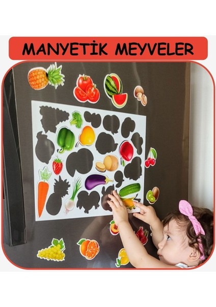 Elite Buzdolabı Eğitici Manyetik Meyveler/sebzeler - Manyetik Bultak Şablon Aktivite Oyuncak 1 Adet