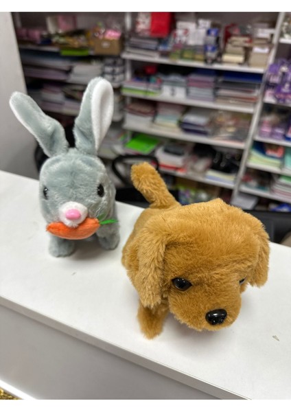 Elite Yürüyen Sesli Isıklı Tavşan ve Köpek Ikıli Set Bebk Emekleme Oyuncagı Sesli Isıklı Set 1 Adet